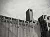 Canada Malting